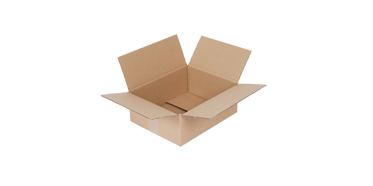 Doos 310 x 250 x 120 mm bruin/bruin enkelgolf fefco 0201