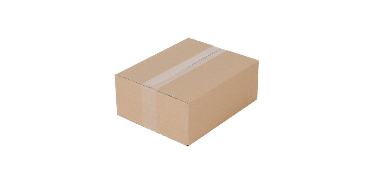 Doos 310 x 250 x 120 mm bruin/bruin enkelgolf fefco 0201