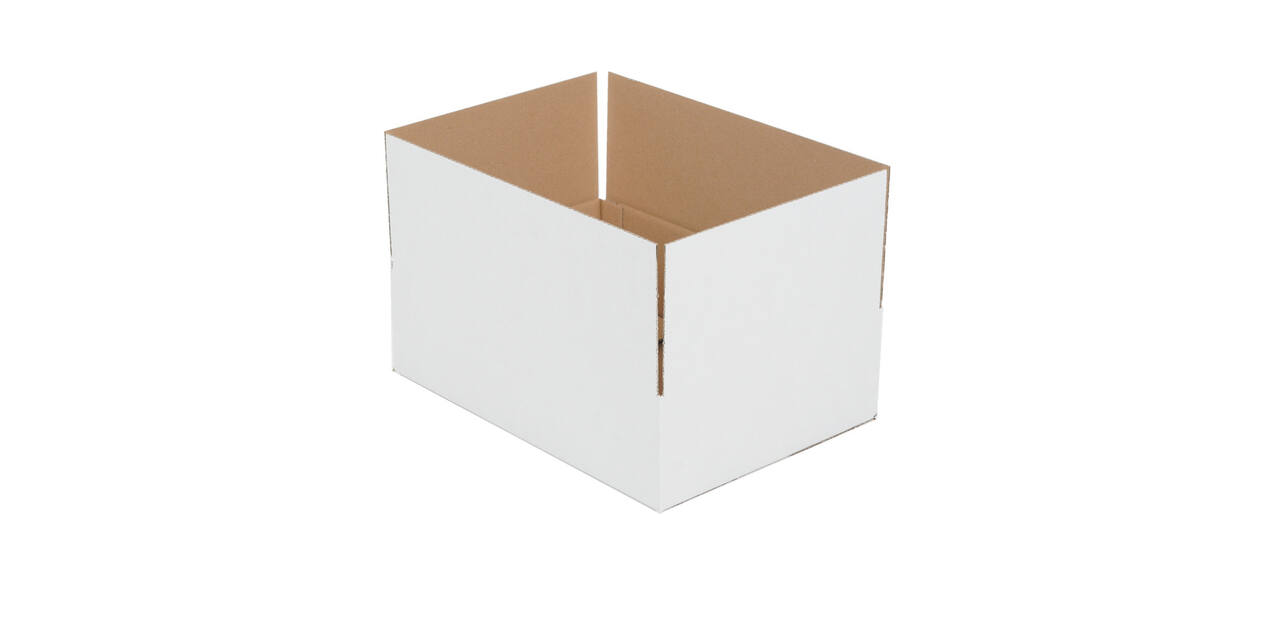 Doos 390 x 280 x 110 mm wit/bruin enkelgolf fefco 0201