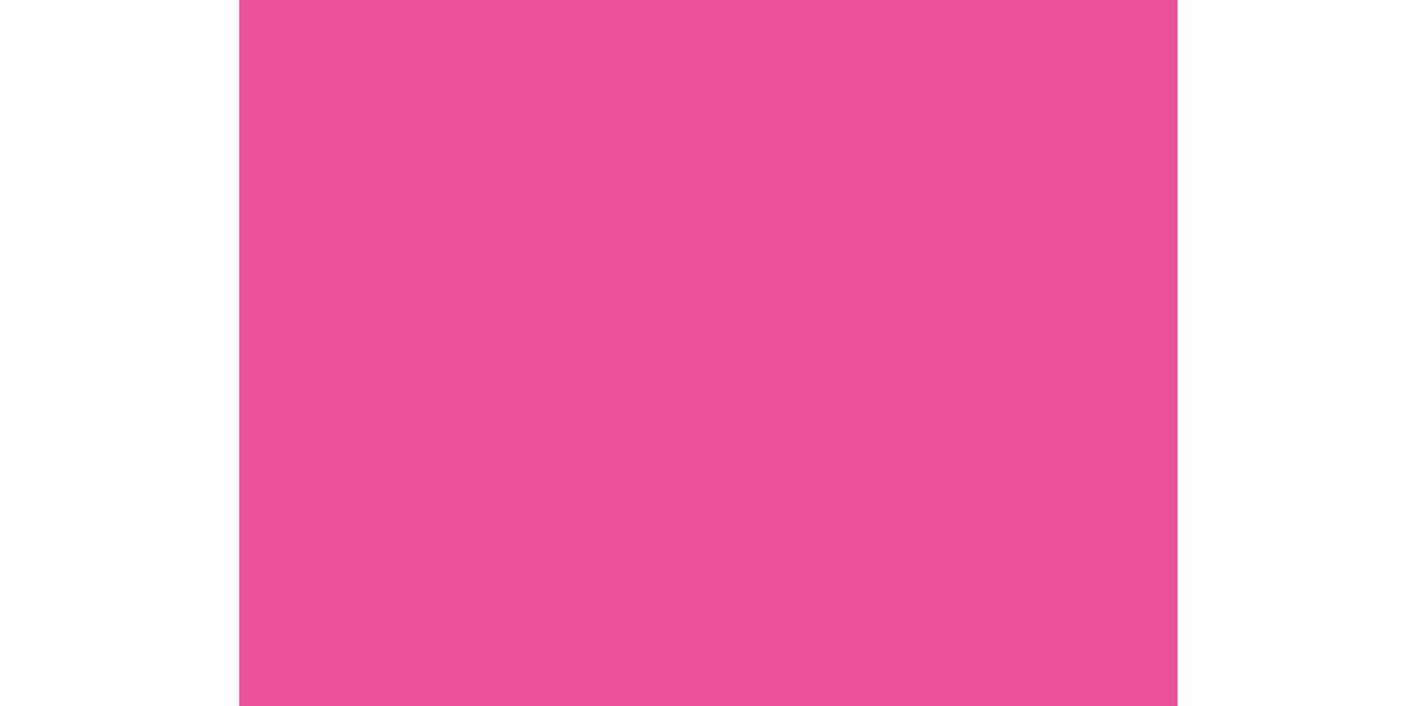 167762 - Placemats Papier 30 x 40 cm Fuchsia
