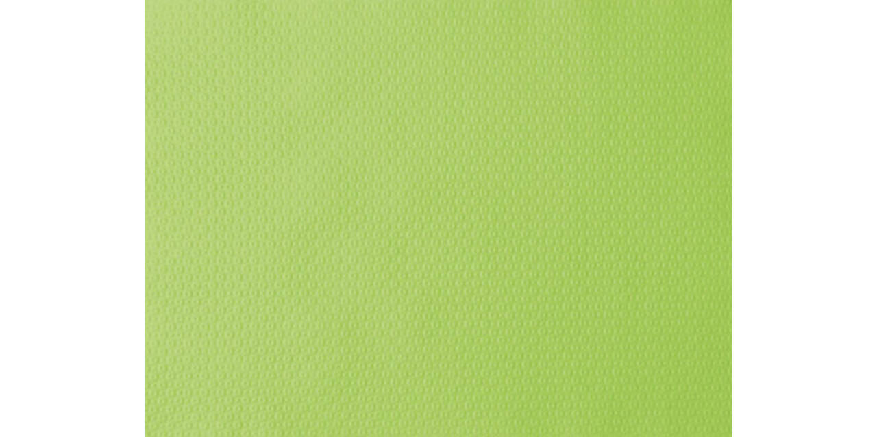 160191 - Placemats Papier 30 x 40 cm Kiwi