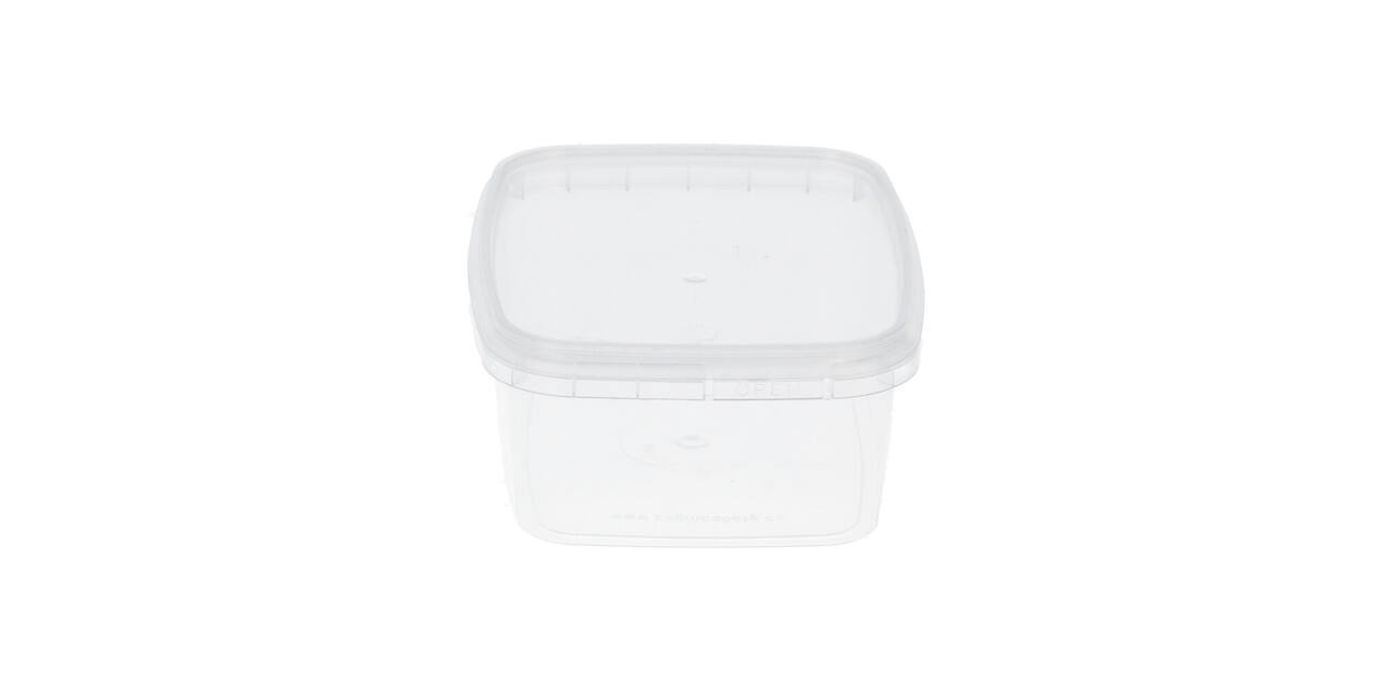 Bak PP + deksel TE 109-250 transparant 250 gram 80D+V