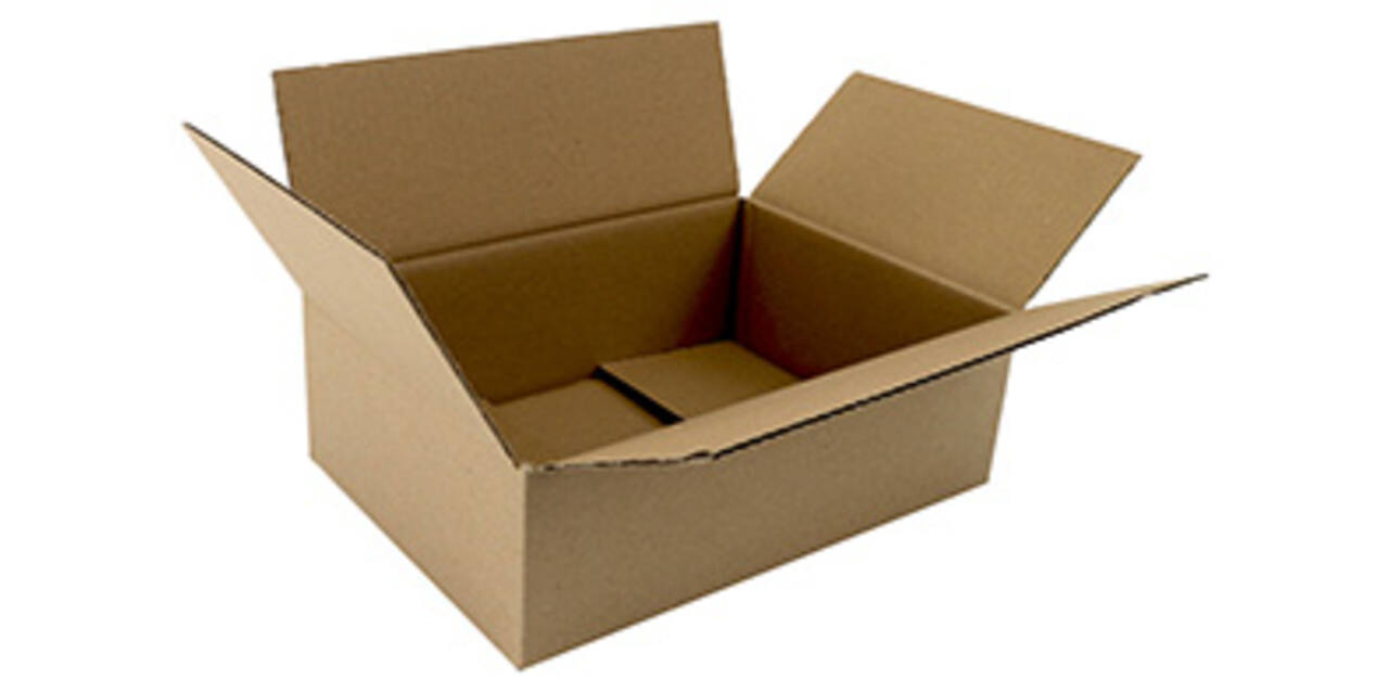 Doos 305 x 220 x 100 mm bruin/bruin enkelgolf fefco 0201 "G-label"