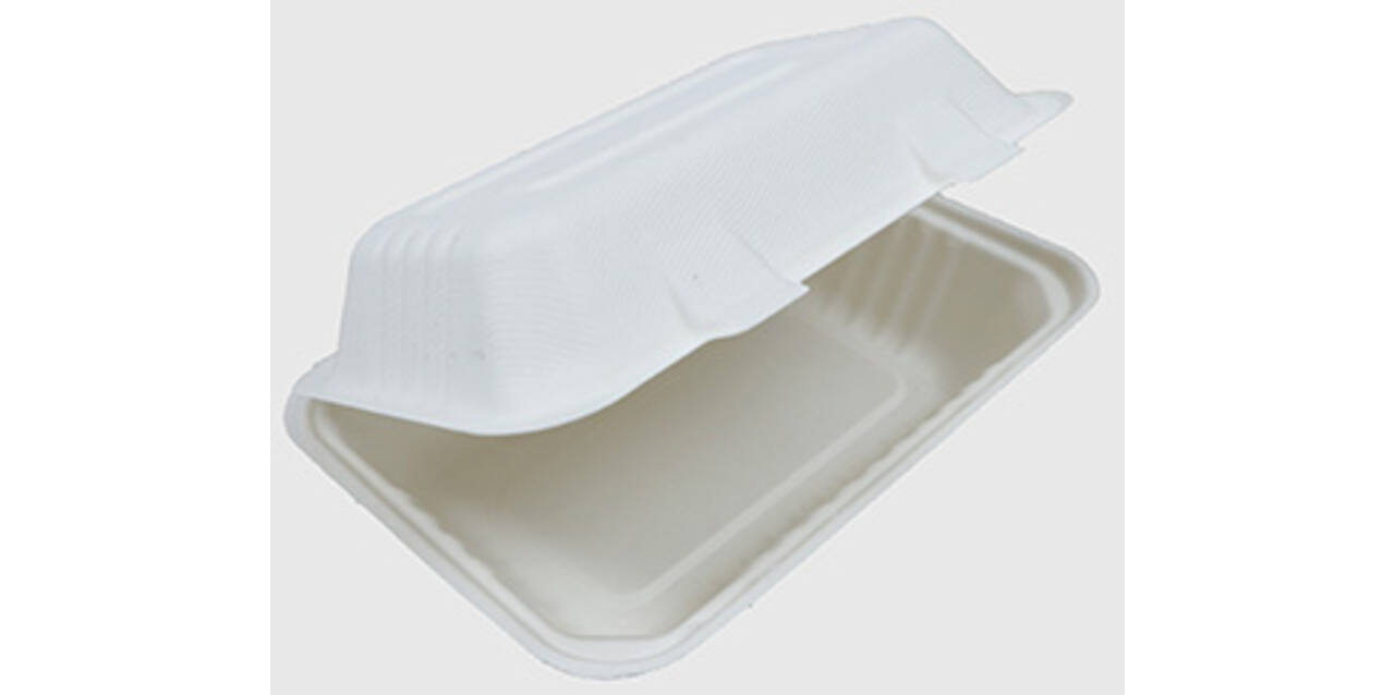 Menubox suikerriet 23 x 15 x 7,5 cm middel