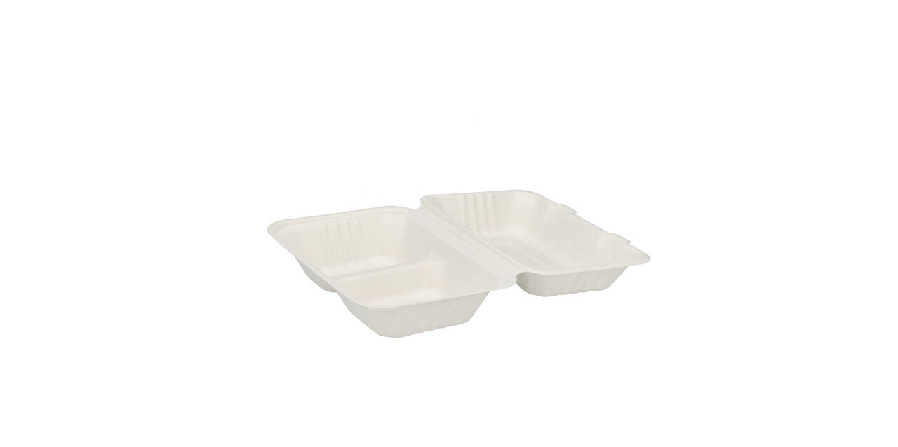Menubox suikerriet 23 x 15 x 7,5 cm middel 2-vaks
