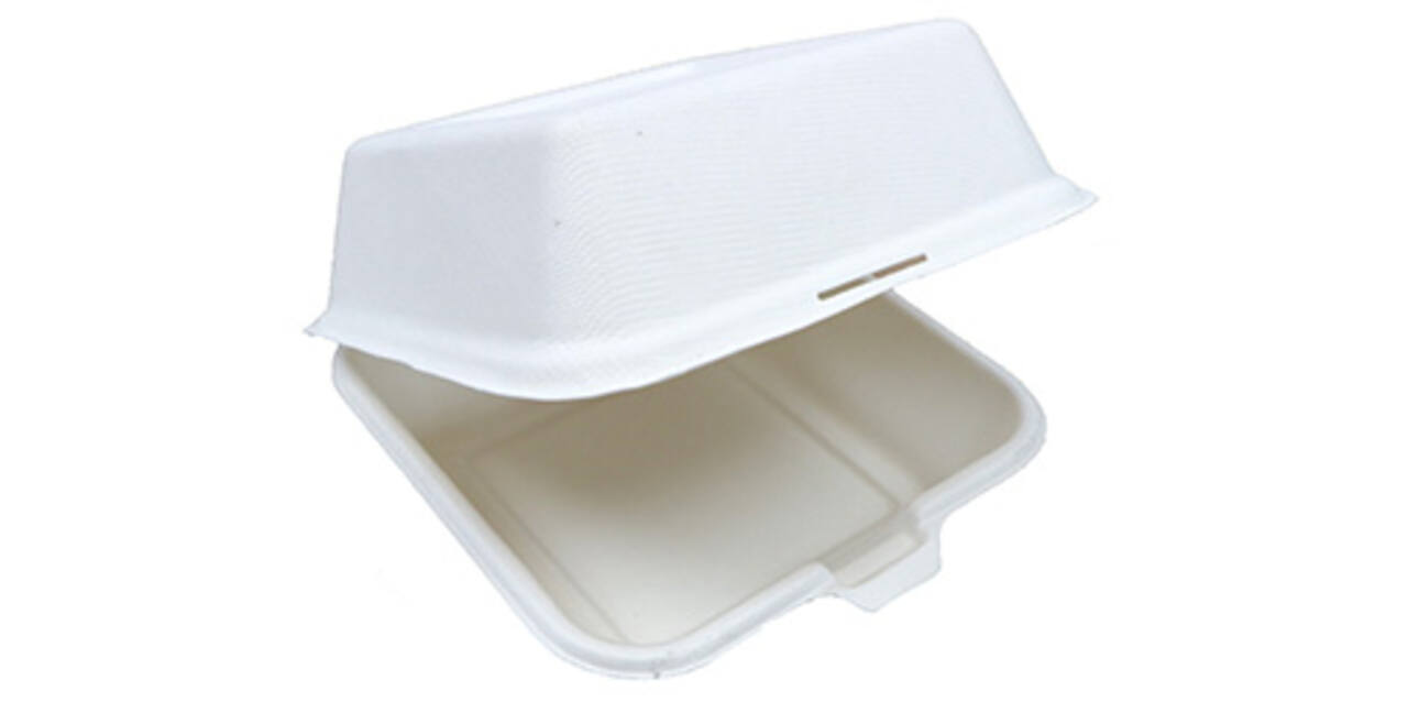 Hamburgerbox suikerriet 15 x 15 x 7,5 cm