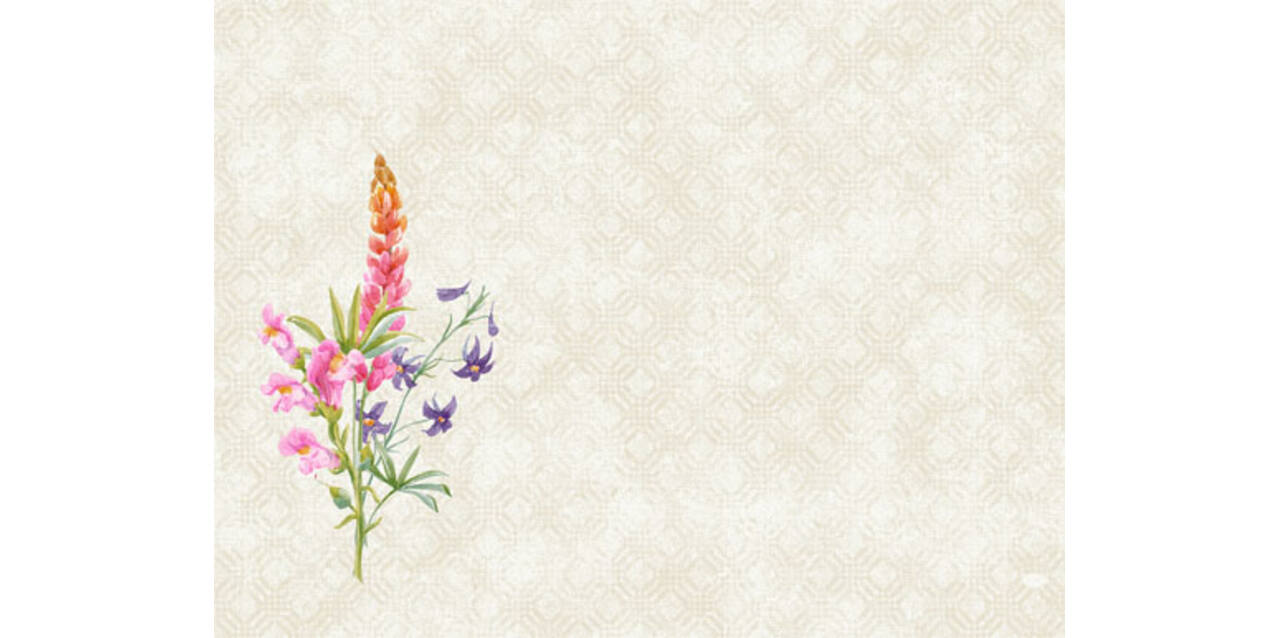 195835 - Placemat 30 x 40 floret 5 x 100