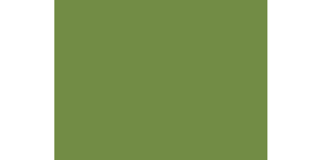 188397 - Placemat 30 x 40 papier leaf green 4 x 250