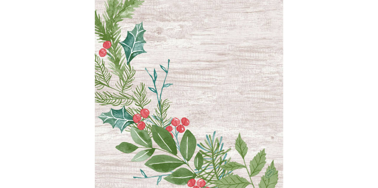 204449 - Servet 40 x 40 cm Winter Greenery