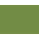 188397 - Placemat 30 x 40 papier leaf green 4 x 250