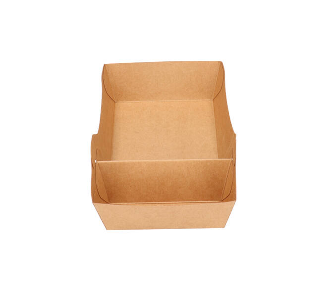 Bakjes bruinkraft/PE 180 (132+48)  x 100 x 35 mm (A14 + extra bakje) - A20