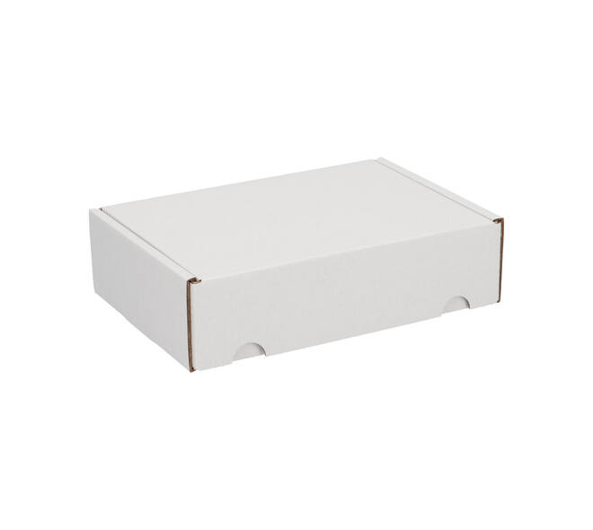 Postdoos 220 x 155 x 60 mm wit/bruin enkel golf fefco 0427 - 311 110 550