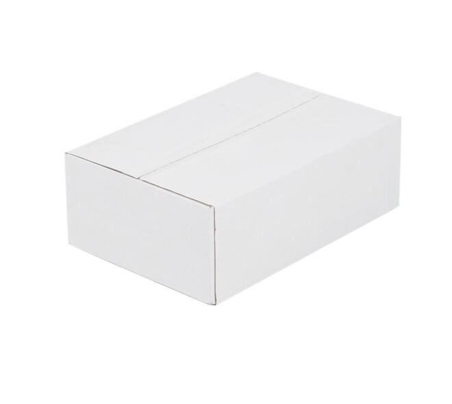 Doos 360 x 240 x 120 mm  wit/bruin enkelgolf fefco 0201