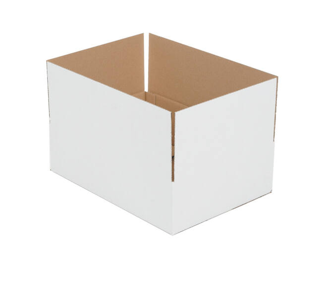 Doos 390 x 280 x 110 mm wit/bruin enkelgolf fefco 0201