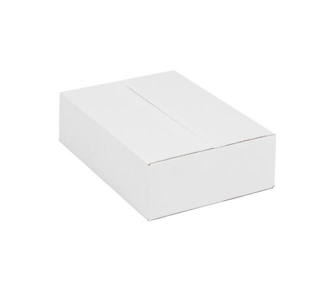 Doos 390 x 280 x 110 mm wit/bruin enkelgolf fefco 0201