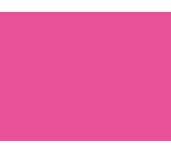 167762 - Placemats Papier 30 x 40 cm Fuchsia