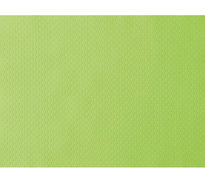 160191 - Placemats Papier 30 x 40 cm Kiwi