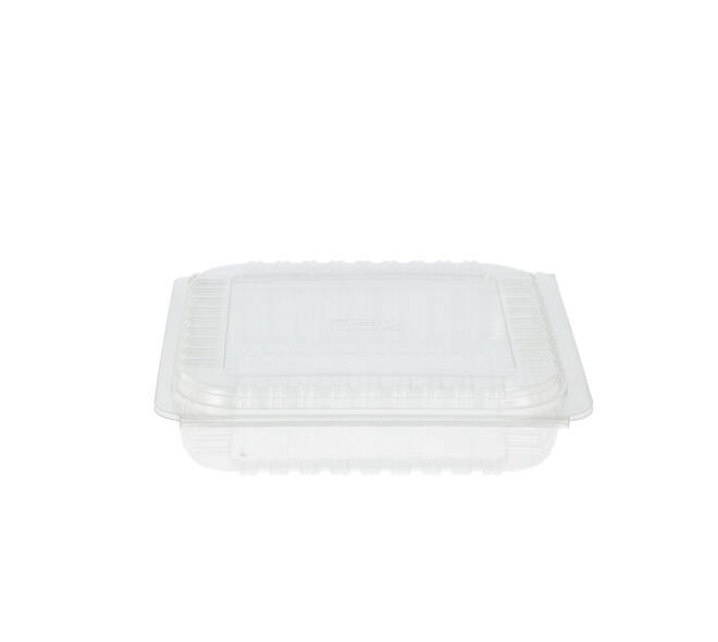 Bakkerijverpakking cristal 225 x 225 x 55 mm P2250