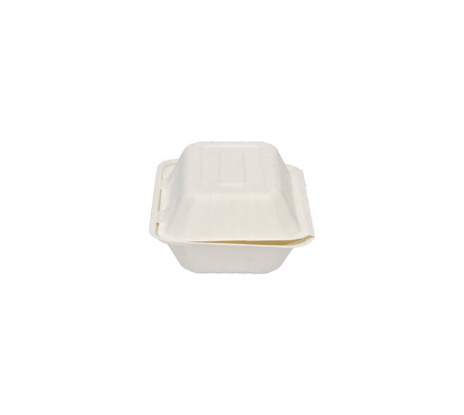 Menubox suikerriet 23 x 15 x 7,5 cm middel 2-vaks