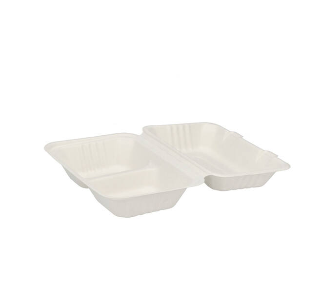 Menubox suikerriet 23 x 15 x 7,5 cm middel 2-vaks