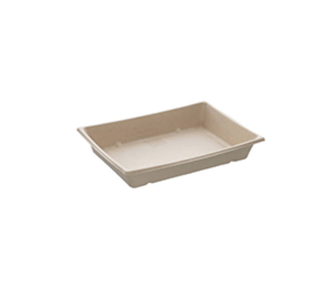 Bak suikerriet 16 x 22 x 3 cm 750ml