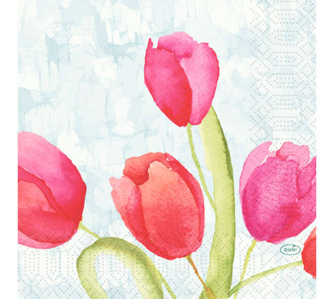 206394 - Servet 33 x 33 cm 3-laags painted tulips