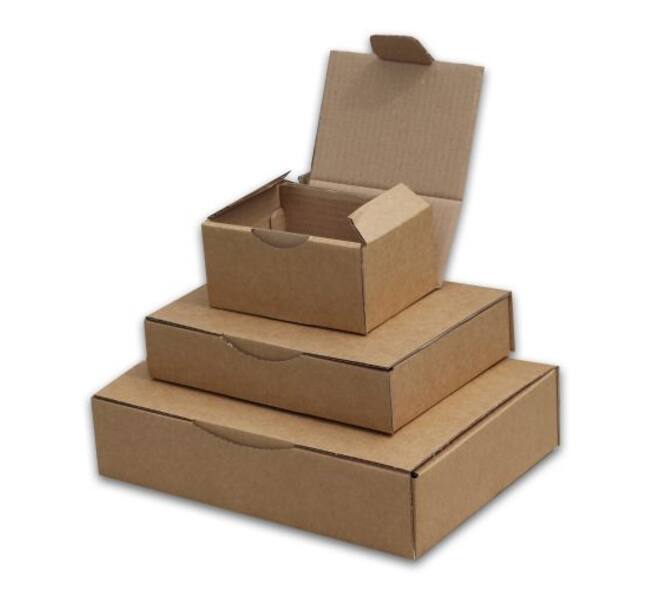Postdoos 315 x 215 x 60 mm wit/bruin enkel golf fefco 0427 - 311 110 800