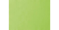 160191 - Placemats Papier 30 x 40 cm Kiwi