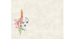 195835 - Placemat 30 x 40 floret 5 x 100