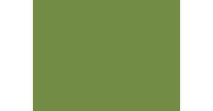 188397 - Placemat 30 x 40 papier leaf green 4 x 250