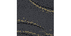 200800 - Servet 33 x 33 cm 3-laags Golden Stardust Black